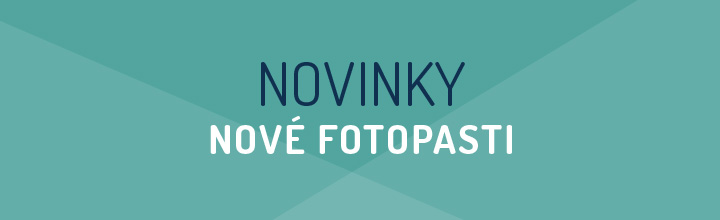 NOVINKY